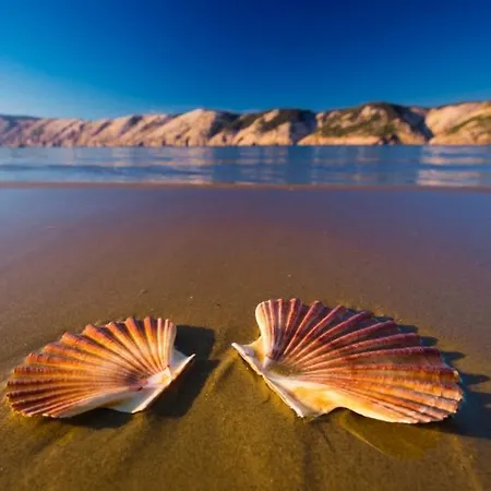 Apartmán In With Balcony, Air Conditioning, W-lan, Washing Machine Lopar