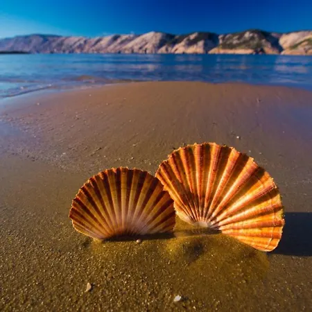 Apartmán In With Balcony, Air Conditioning, W-lan, Washing Machine Lopar