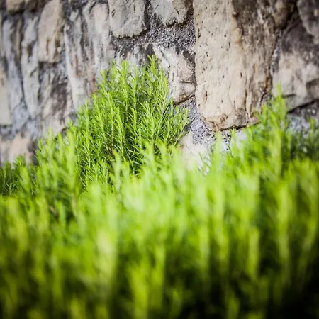 In With Balcony, Air Conditioning, W-lan, Washing Machine Lopar